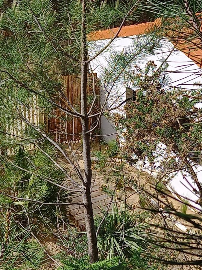 Cot'& Dune - Lodge D'Hote & Spa De Nage Saint-Augustin  Esterno foto