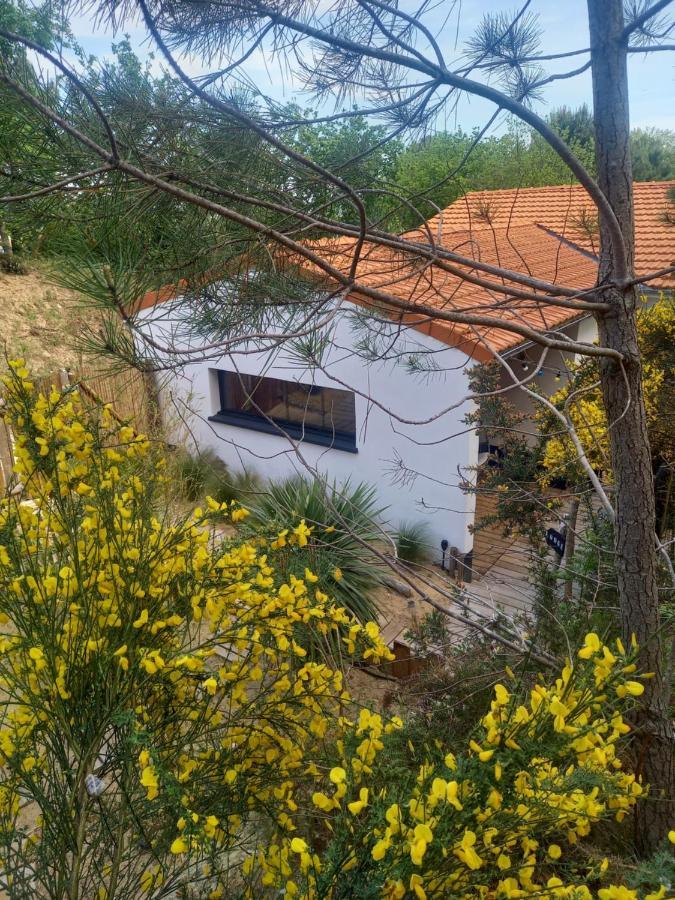 Cot'& Dune - Lodge D'Hote & Spa De Nage Saint-Augustin  Esterno foto